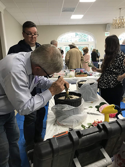 Learn-to-Graft-Camellias_1_V1