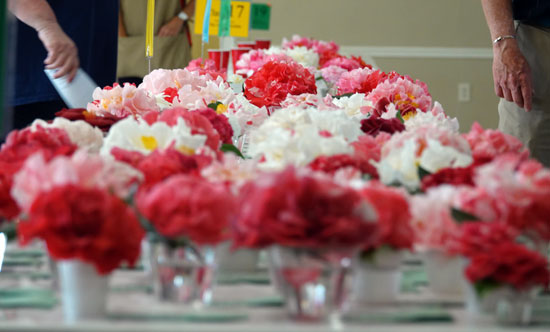 2022_Show_Page_1_V1 2021 Show